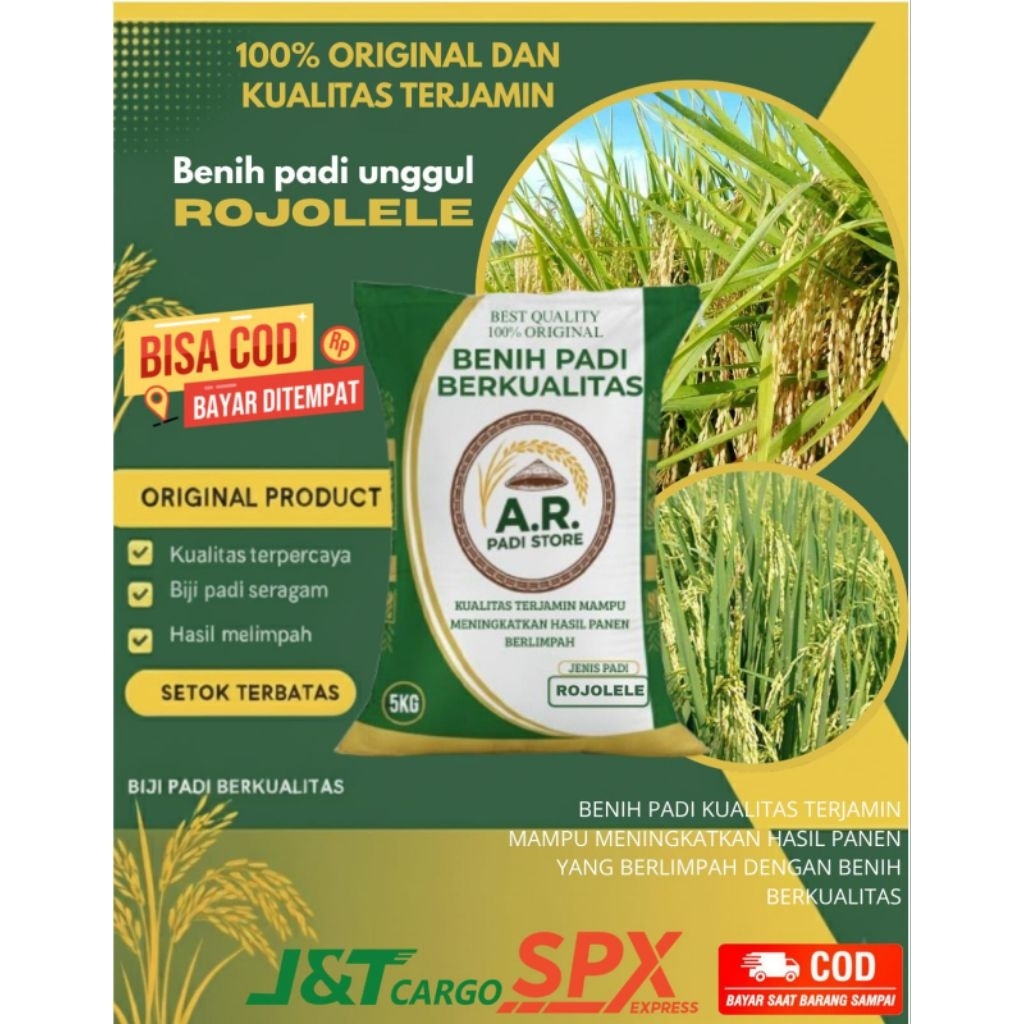 Benih padi unggul ROJOLELE kemasan 5Kg