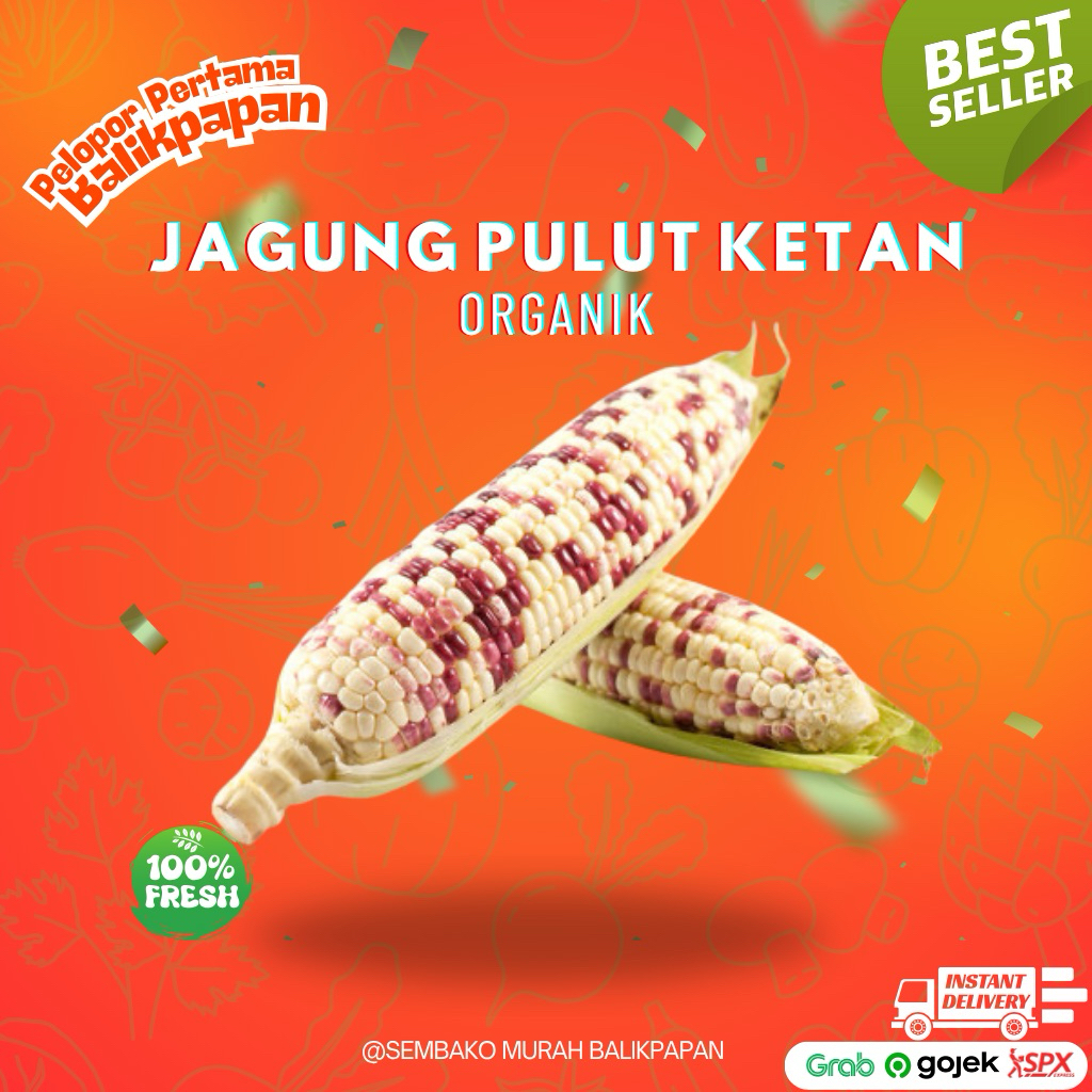 RE-UPLOAD Jagung Pulut Ketan