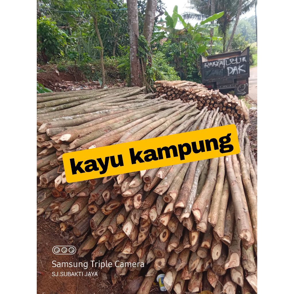 kayu, kayu dolken, dolken kayu, dolken kayu bulatan, dolken kayu keras, dolken kupas, dolken kayu 4 
