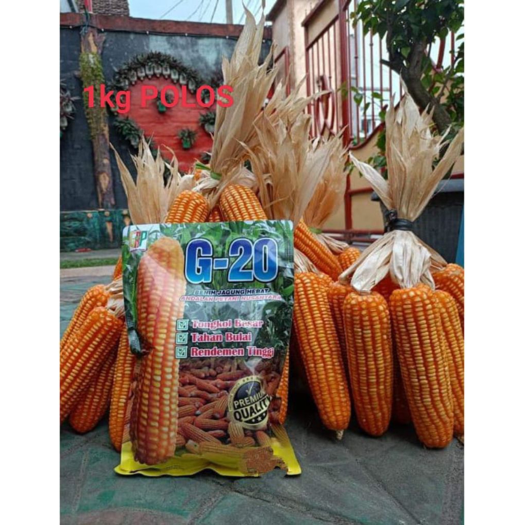 Benih Jagung Berkualitas G-20 Super Andalan Petani Nusantara 1kg