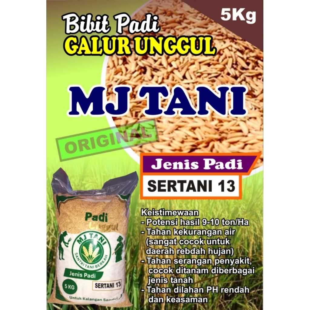 bibit padi sertani13 5kg