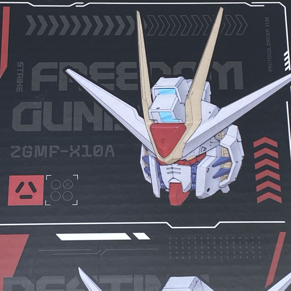 Zeroplan MG 1:100 Gundam Head Strike Freedom