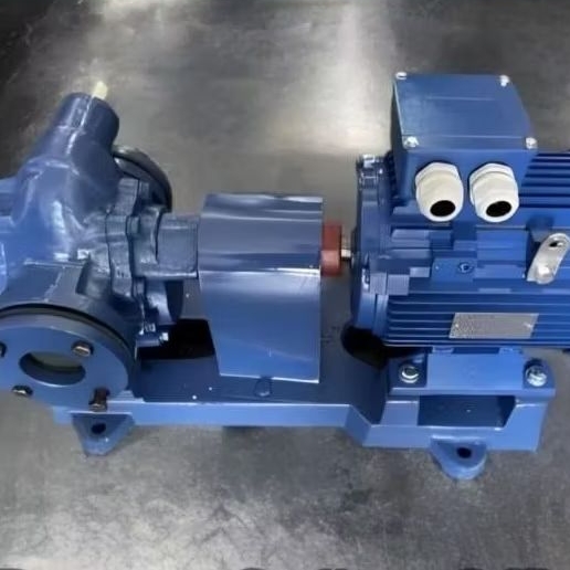 Gear Pump Rotor Rk 300 Motor 5,5Kw 7,5Hp 380V 6Pole