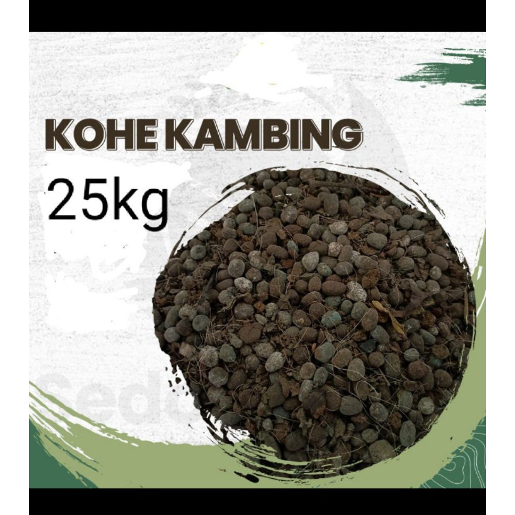 kohe kambing 25kg
