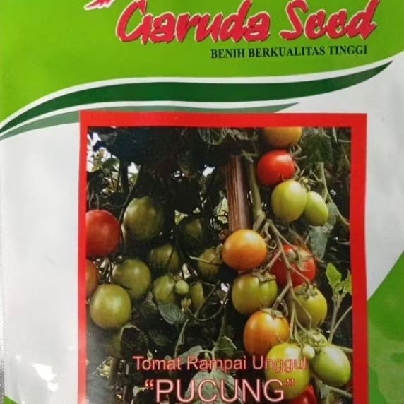 Benih tomat sayur 5 gram buah lebat bersertifikat