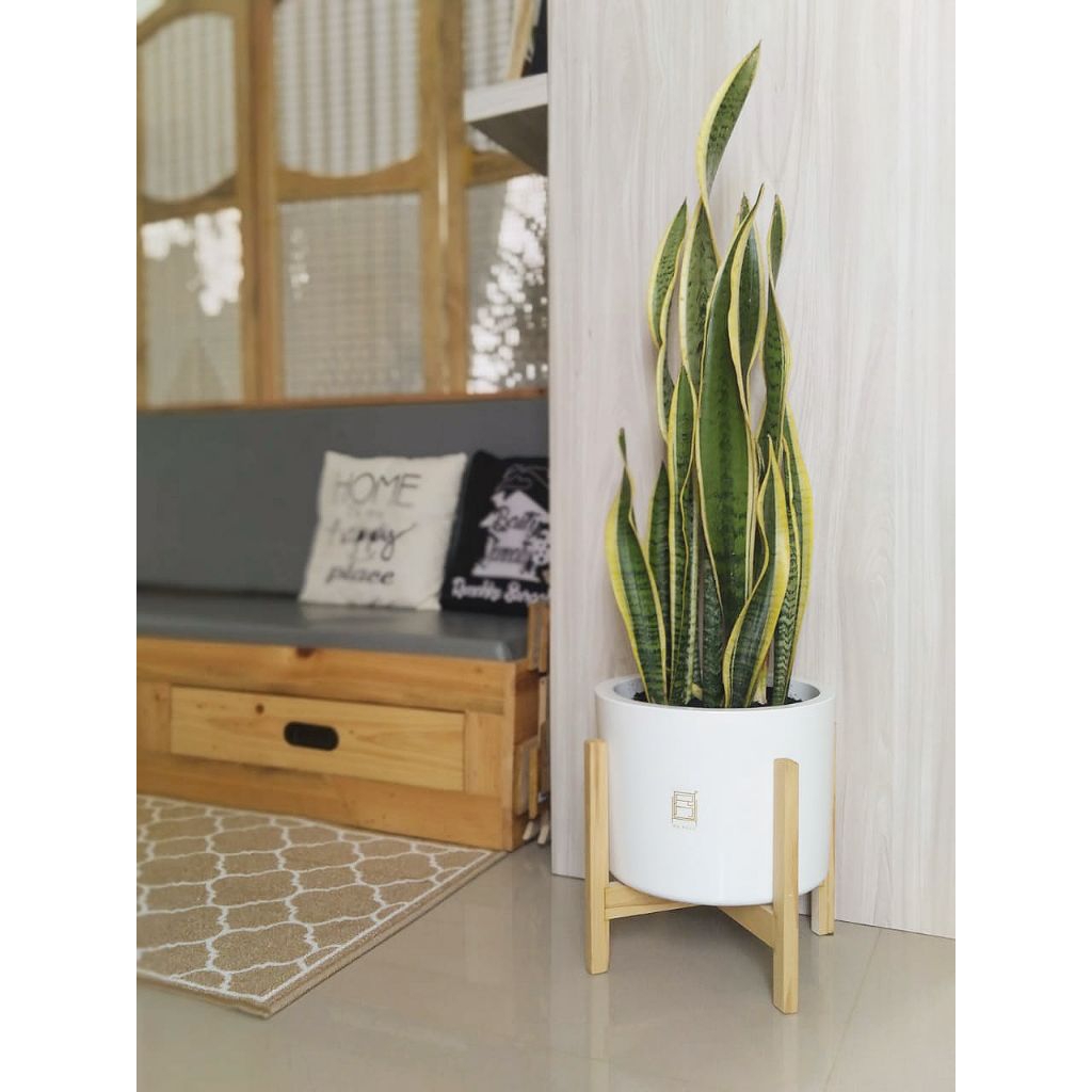 Pot Aesthetic STAND KAYU 27CM