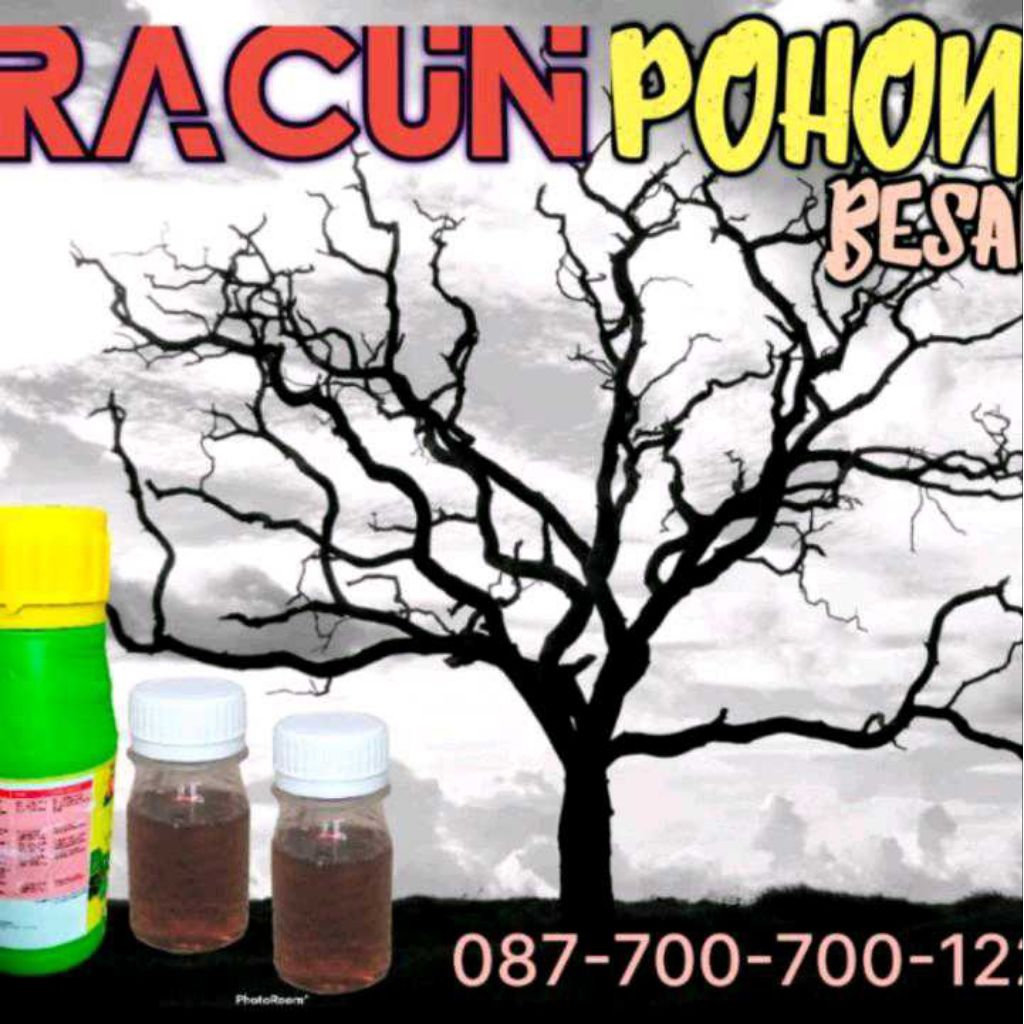 Racun Pohon Besar, sebesar Apapun