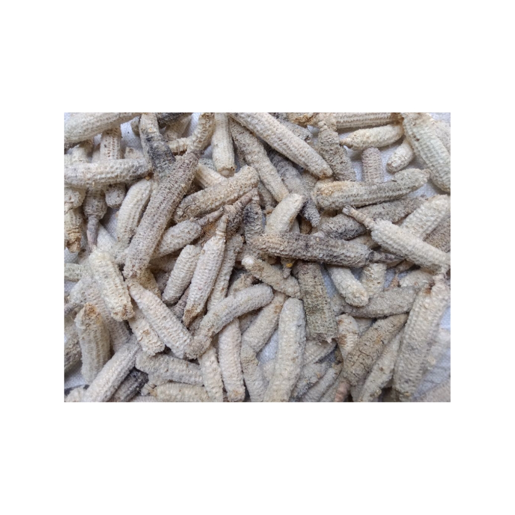 Bagal/tongkol kering jagung 1 Kg