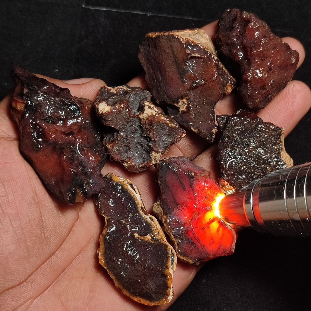 batu red raflesia bengkulu super HQ / batu red raflesia bengkulu / bongkahan batu red raflesia bengk