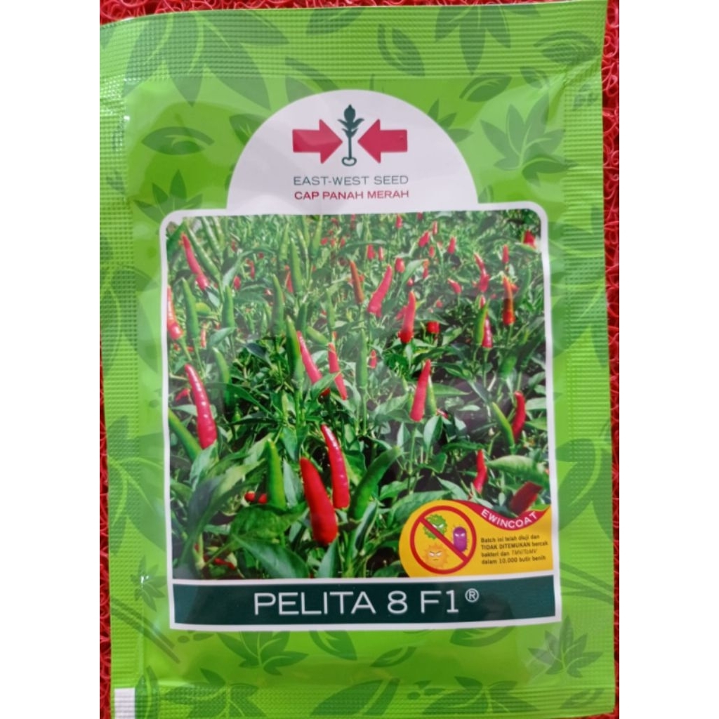 Bibit Cabe Rawit Pelita8 F1 @2.250 btr