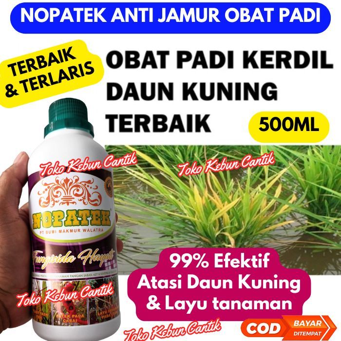 NOPATEK Obat Padi Terbaik | Atasi Daun Kuning, Virus Kuning & Padi Kerdil | Fungisida Padi Ampuh
