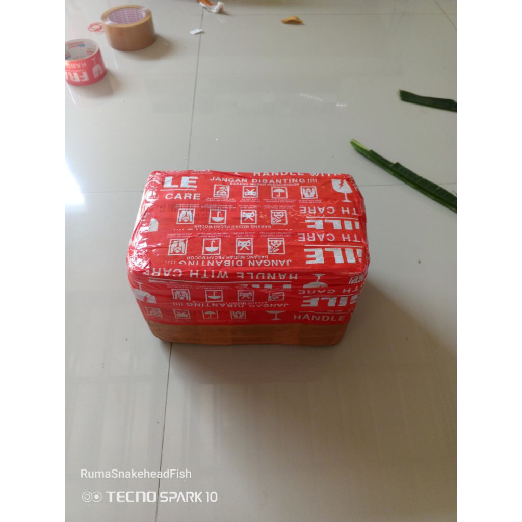 kardus orna yl 5-6cm single tank