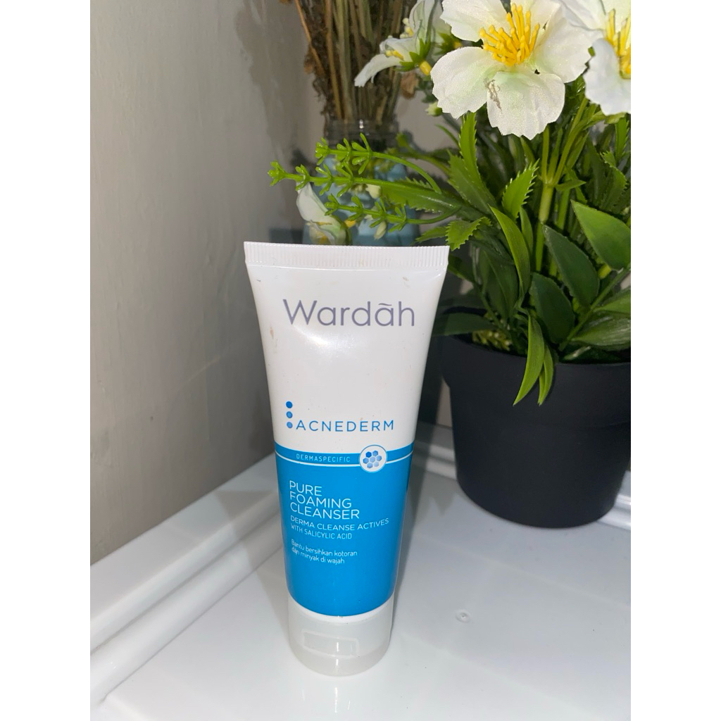 Wardah Pure Foaming Cleanser