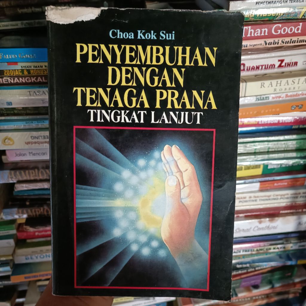 PENYEMBUHAN DENGAN TENAGA PRANA TINGKAT LANJUT