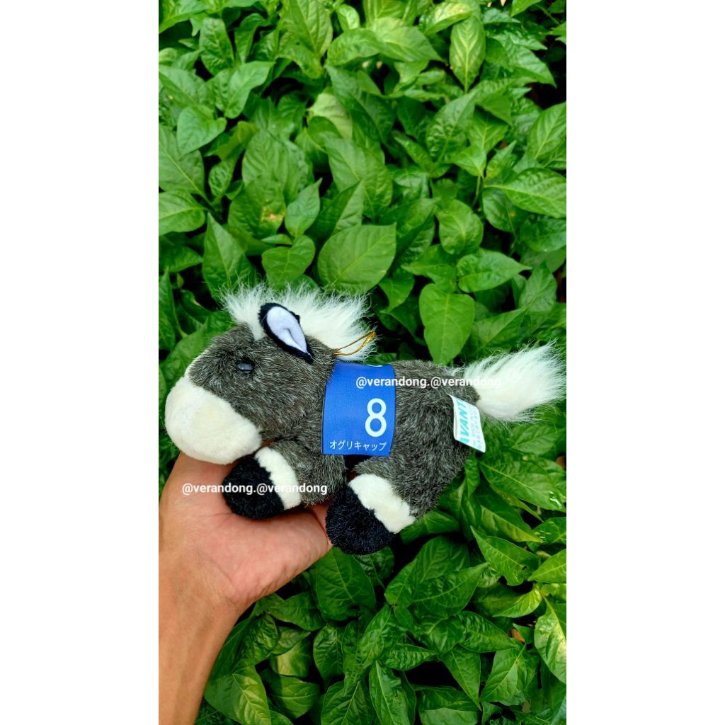 Oguri cap uma musume kuda boneka plushie