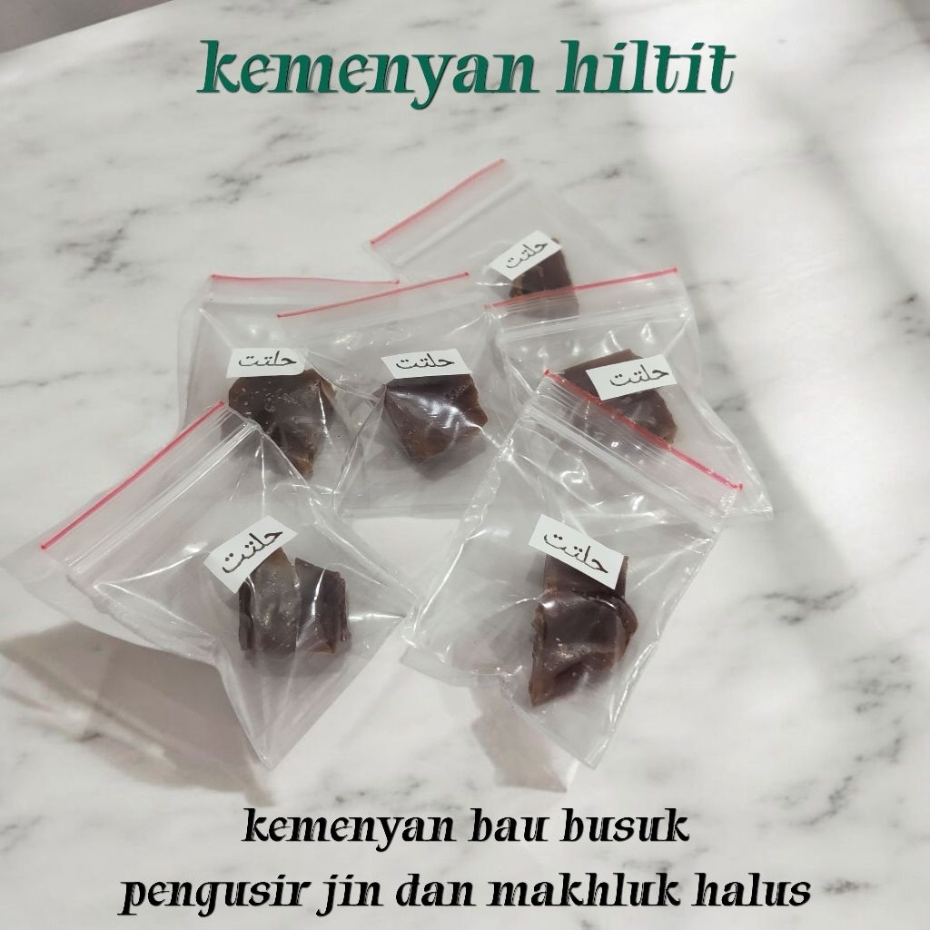 kemenyan hiltit bau amis