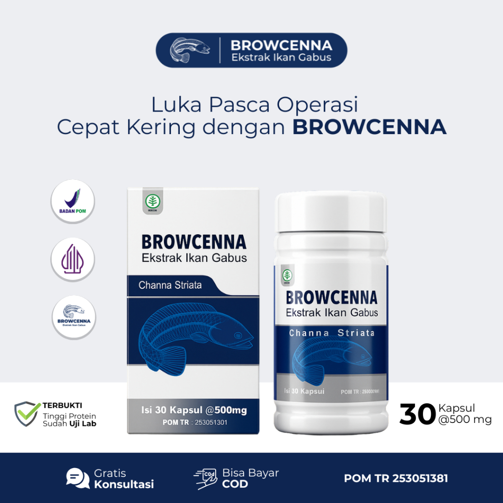 Browcenna Kapsul Ikan Gabus Asli – Herbal Penambah Albumin, Bantu Regenerasi Sel & Luka Operasi