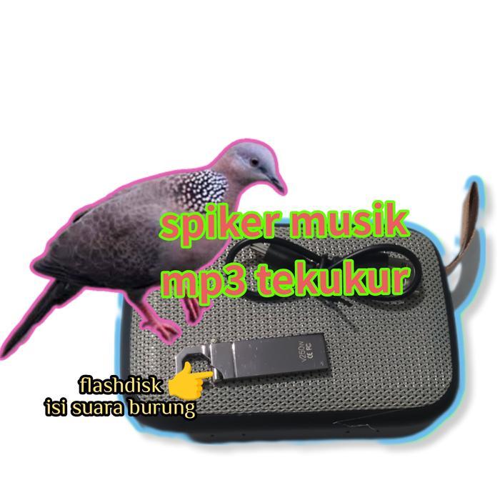 MUSIK BOX MP3 + FLASHDISK SUARA TEKUKUR JERNIH NYARING AMPUH SPIKER PANGGILAN BURUNG TEKUKUR