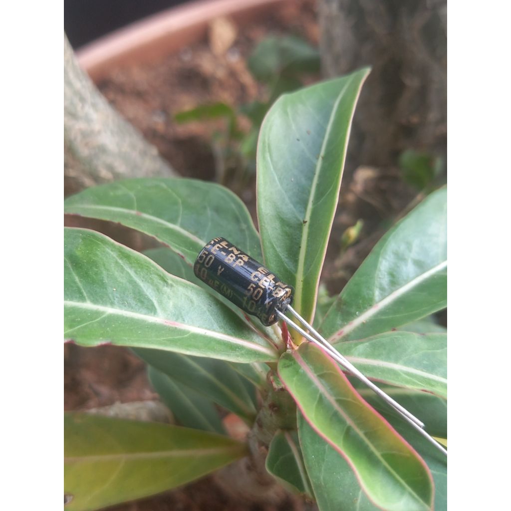 elco 10uf 50v bipolar nonpolar orginal elna