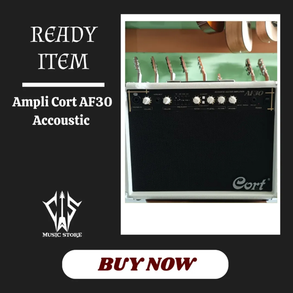 Ampli Gitar Akustik (Acoustic Guitar Amplifier) Cort AF30
