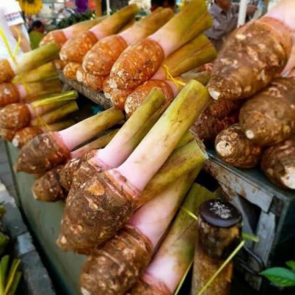 Umbi Talas Bogor/talas pratama 1kg