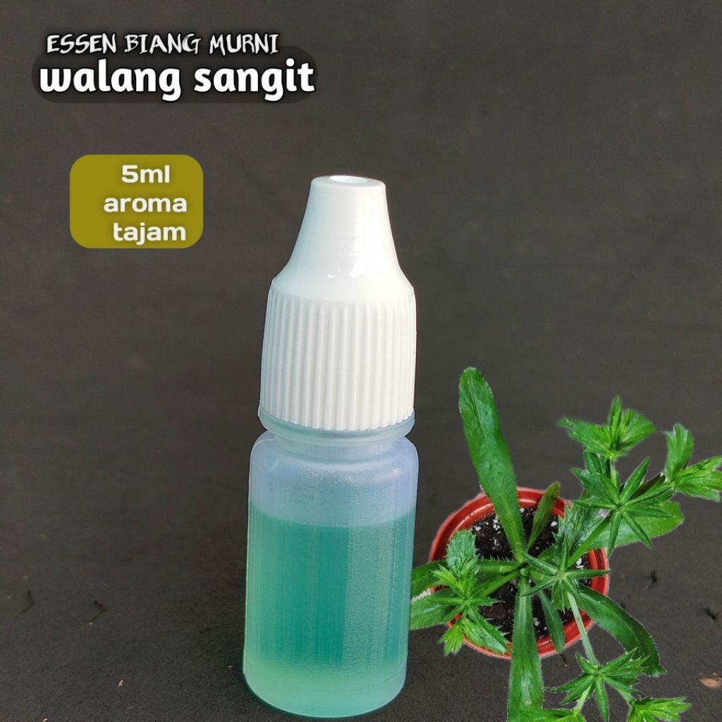 Essen walang sangit murni tanpa campuran