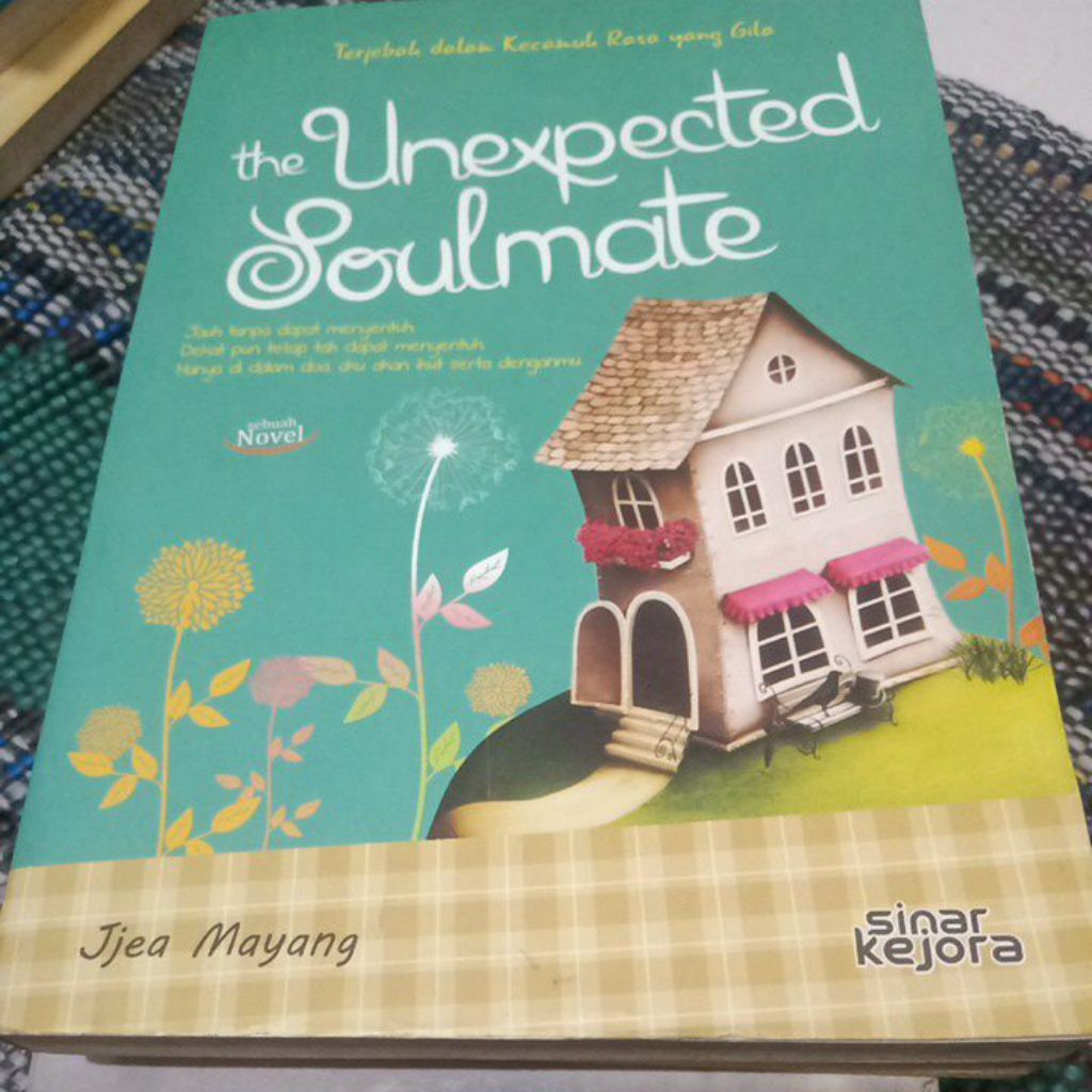NOVEL THE UNEXPECTED SOULMATE