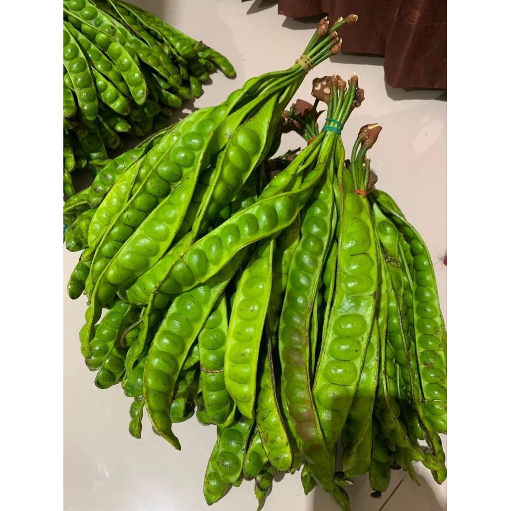 Petai | Pete kecil dan besar