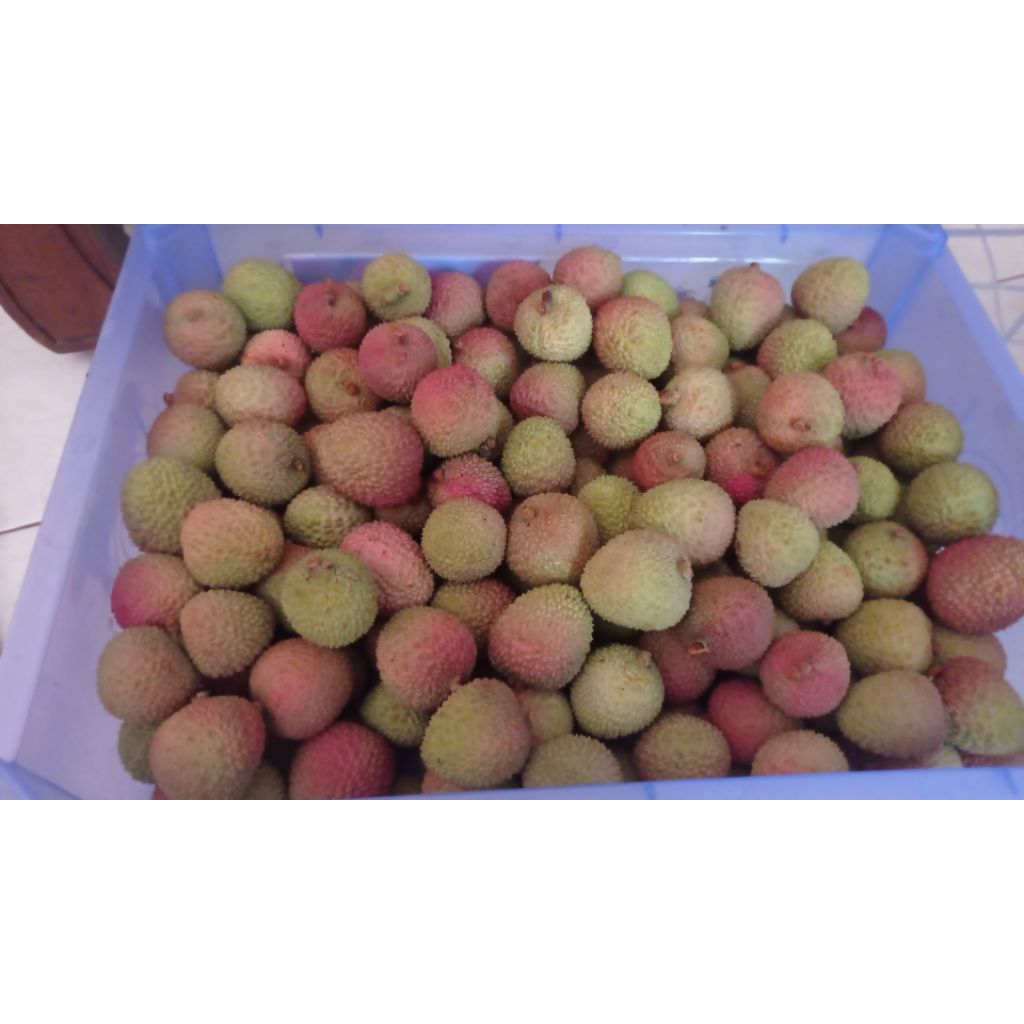 Buah Leci madu / Leci Madu Kulit Kering