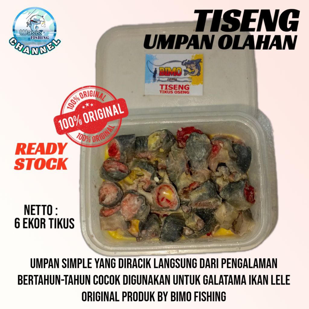UMPAN TISENG ISI 6 EKOR TIKUS OSENG