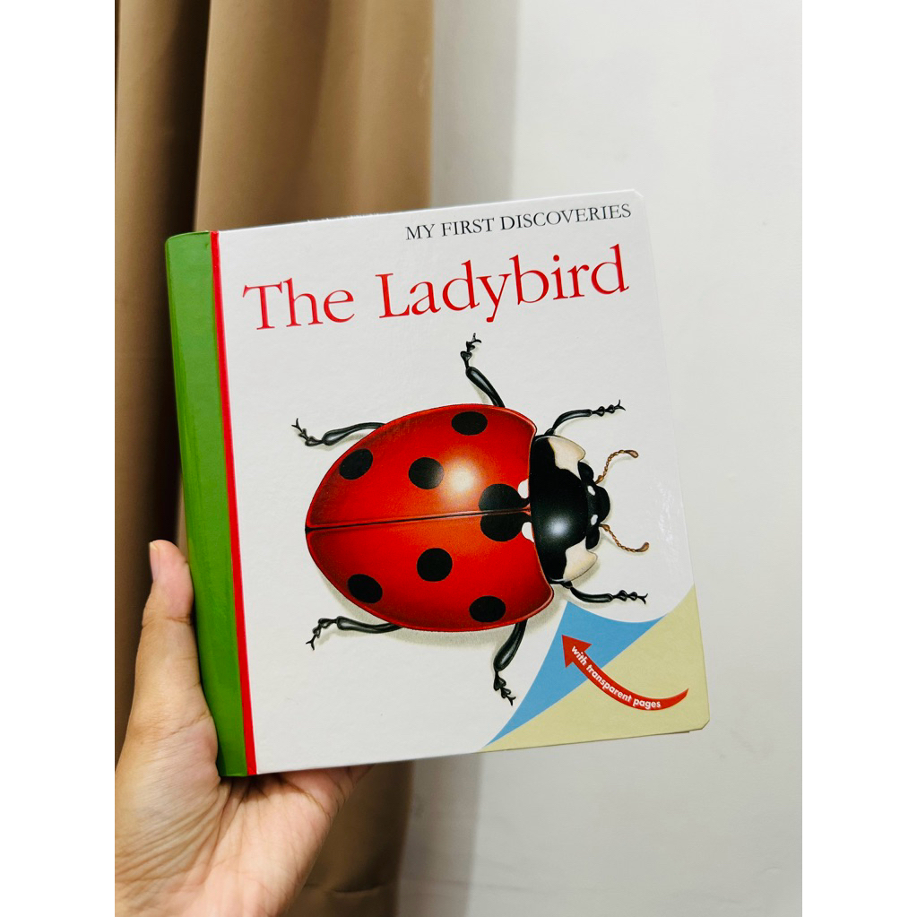 My First Discoveries (MFD) Ladybird