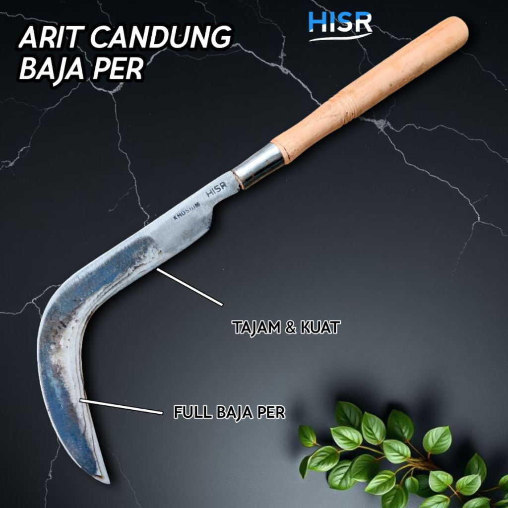 Candung pruning / panen salak HISR KHOSIUN bahan baja per full asli berkualitas tajam dan kuat