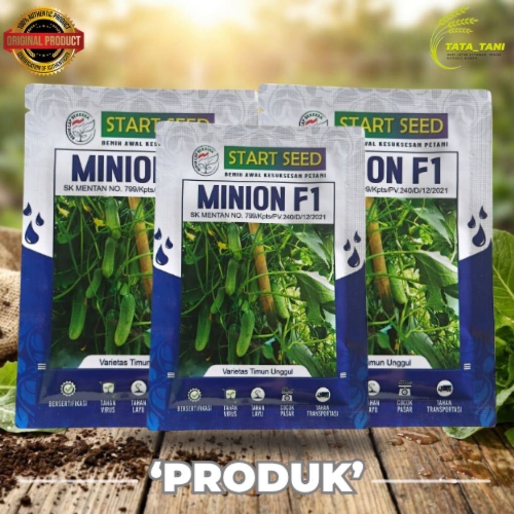 TIMUN MINION F1 10GR