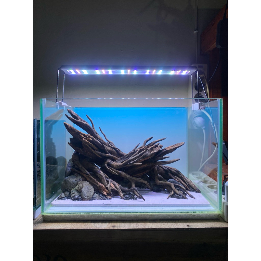 hardscape aquascape