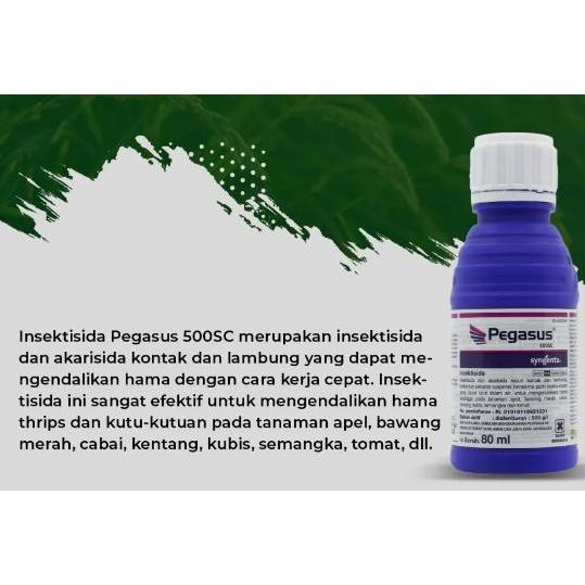 Pegasus 500 SC