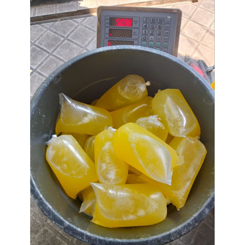 Putih Telur Fresh