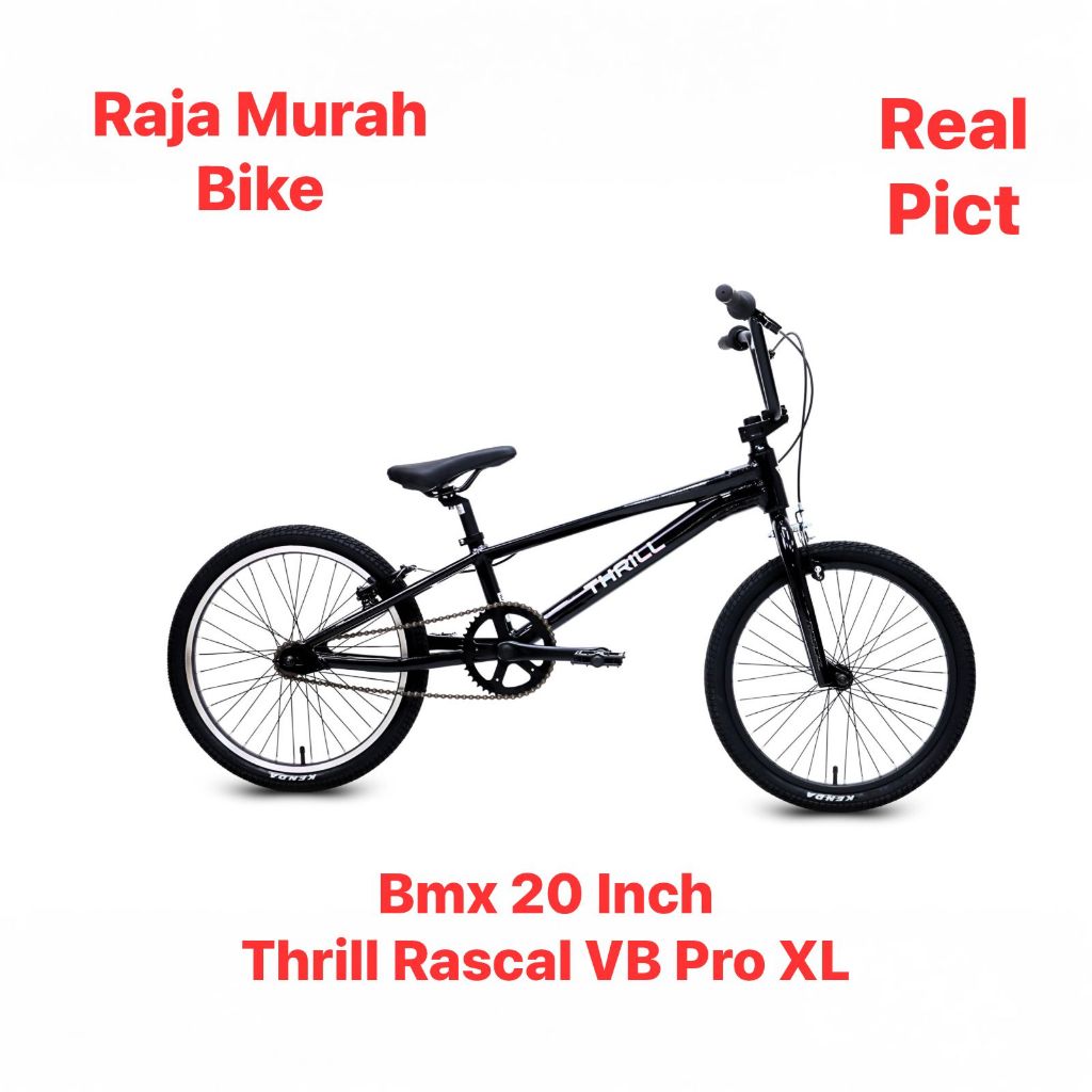 Sepeda Bmx 20 Thrill Rascal Pro XL VB AL Frame Alloy Sepeda Anak Terbaru Bmx Thrill Rascal Pro XL VB