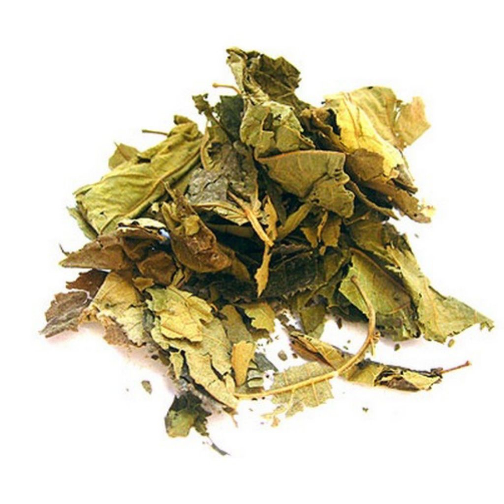 100gr & 250gr Daun Jati Belanda Kering - Teh Daun Jati Belanda