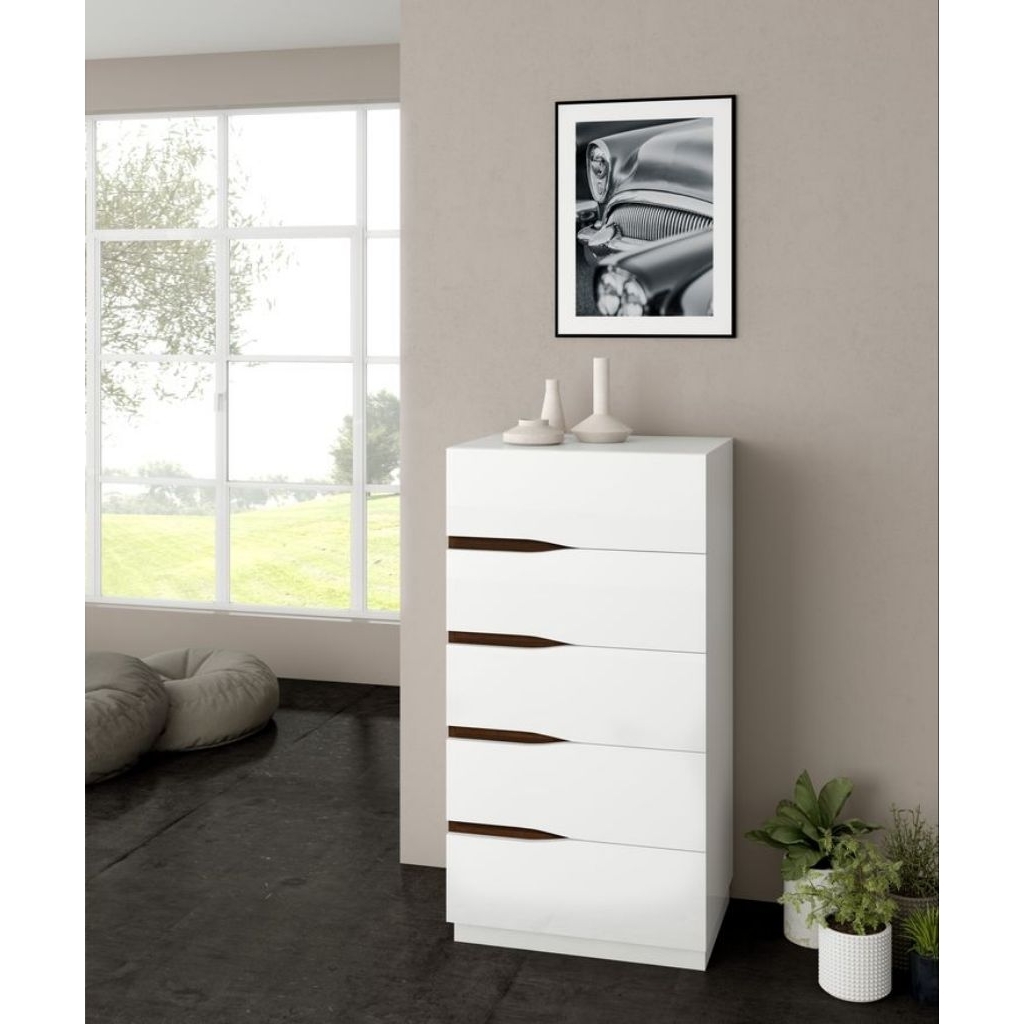 Drawer minimalis 5 laci