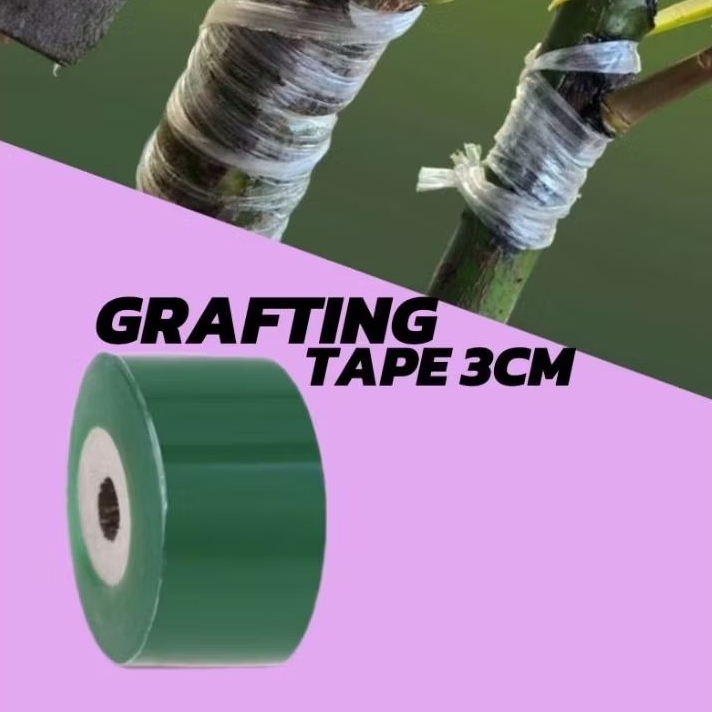 GRAFTING TAPE 3CM PLASTIK OKULASI GRAFTING TANAMAN SAMBUNG PUCUK