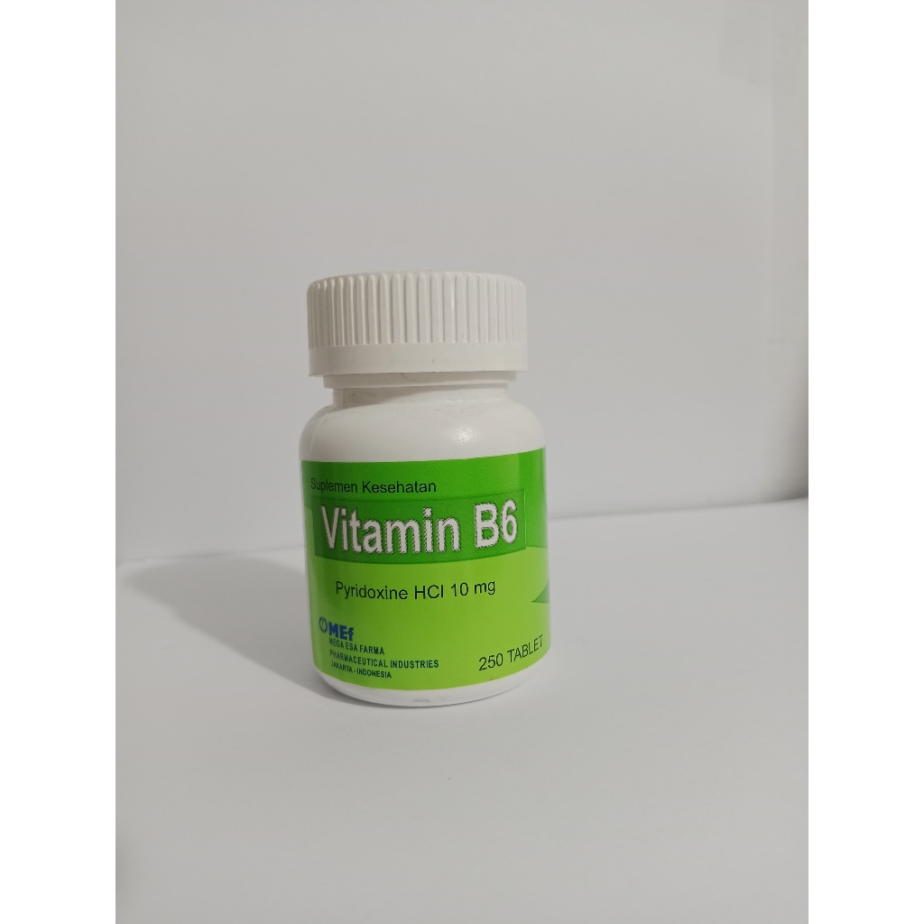 VITAMIN B6 pot 250 tablet MEF
