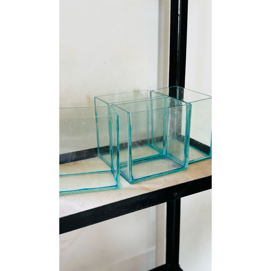 soliter kaca cupang/guppy