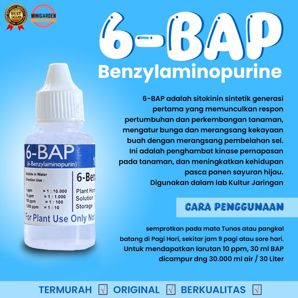 Pupuk 6 BAP 6-Benzylaminopurine || pupuk anggrek