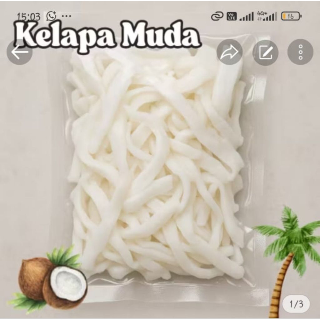 PROMO TERMURAH !! Kelapa Muda Frozen 1kg / Kelapa Muda Beku/ Kelapa Muda Kupas 1kg