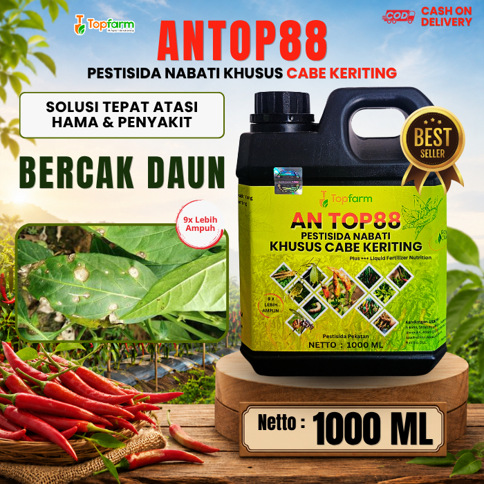 Obat Bercak Daun Cabe Merah / Obat Daun Cabe Menguning / Obat Penyakit Cabe / Obat Jamur Cabe / Fung