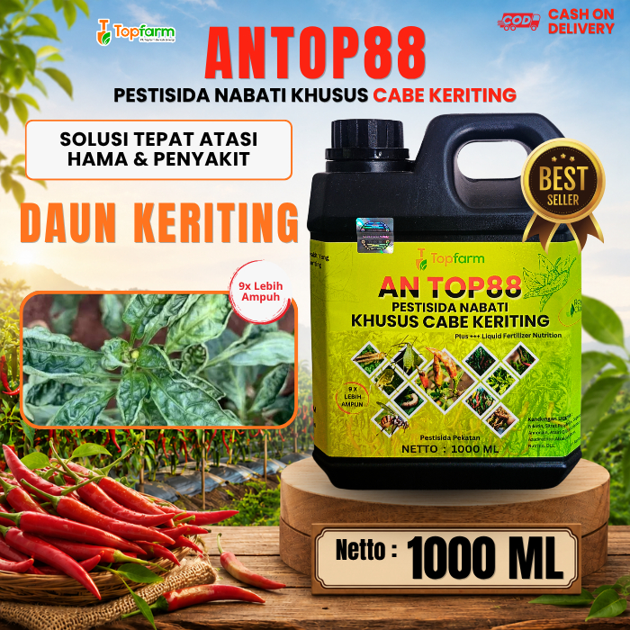 Obat Daun Keriting Cabe Merah / Obat Anti Virus Keriting Cabe / Obat Hama Daun Keriting / Obat Kutu 