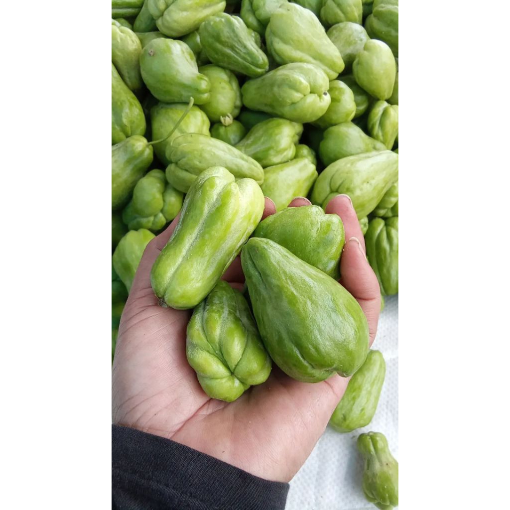 labu/waluh segar 1kg