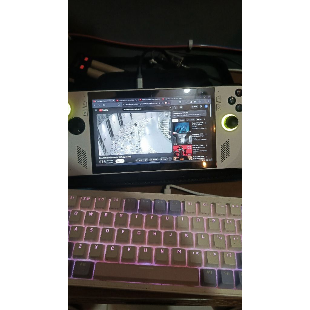 rog ally