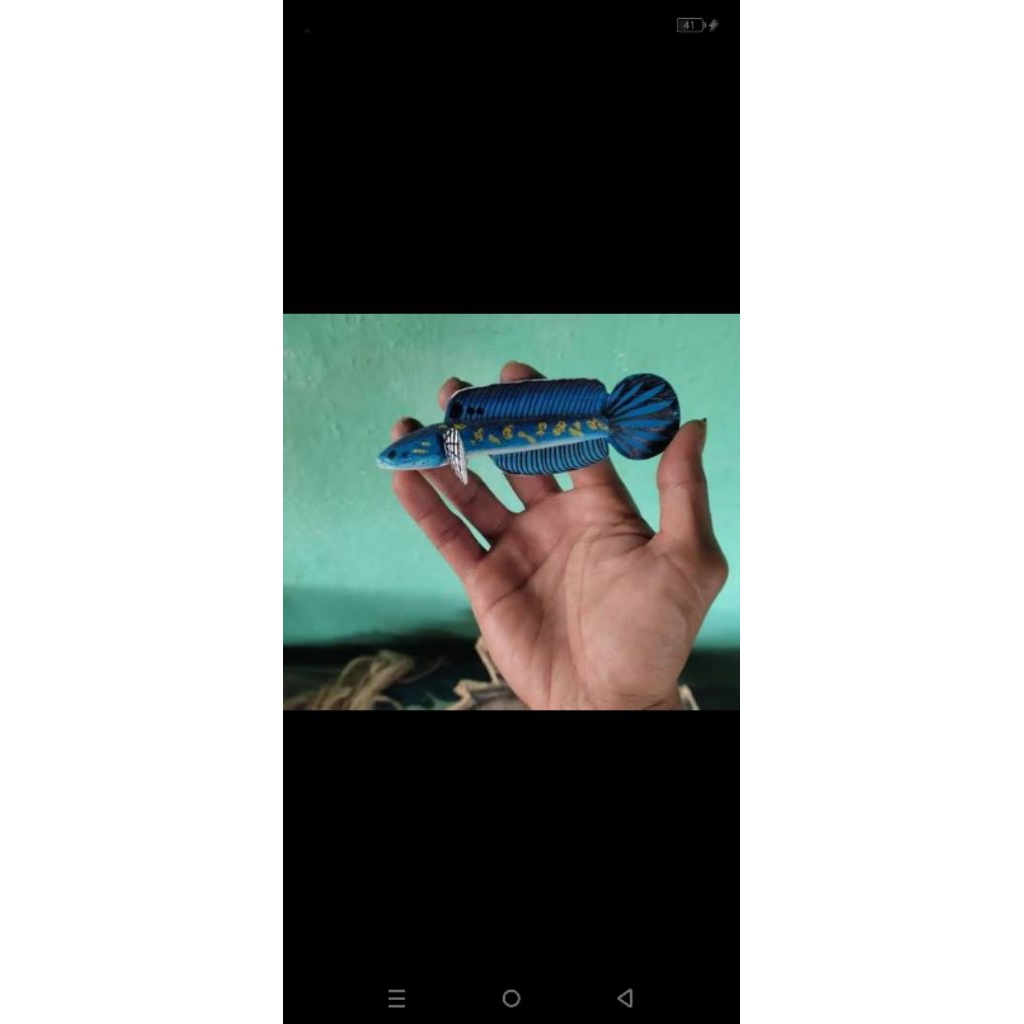 patung chana blue pulchra 7-9cm