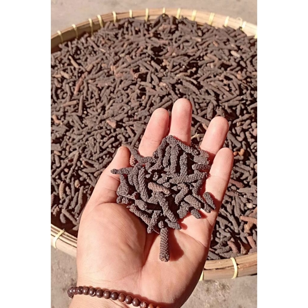 Cabe Jawa (Puyang)